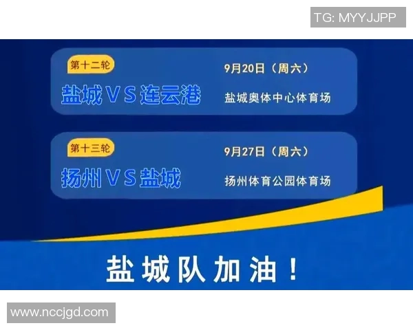 如何在网上和线下购买足球赛门票的详细指南与推荐